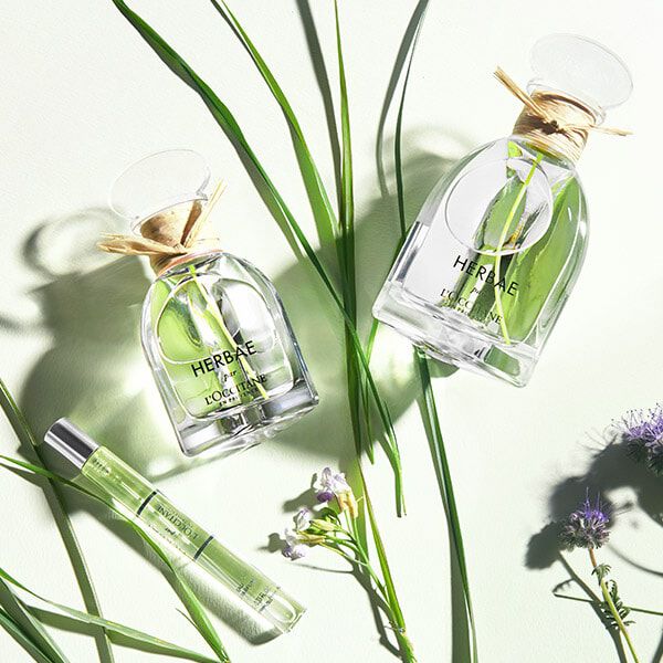Herbae par L'OCCITANE en Provence | The Fragrance Of Natural
